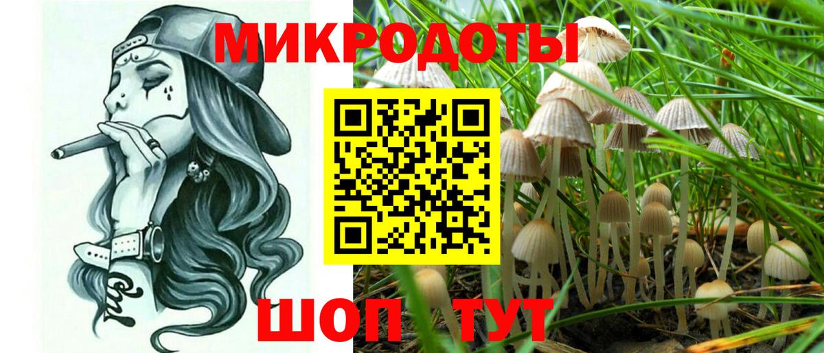 Псилоцибиновые грибы Psilocybe  Вход с VPN  Псков 